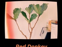-red donkey coffee
