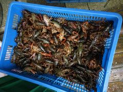 -庾氏龙虾馆(多弗汇店)