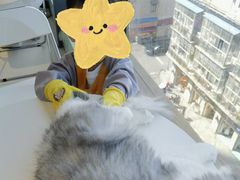 -怪兽屋·羊驼·猫咖·狗咖(俊华广场店)