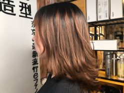-藤野造型
