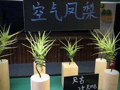 -王尔德与花