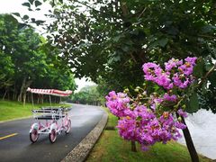 -松山湖南湖湾露营营地