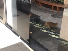 -7-ELEVEN便利店(淞虹店)