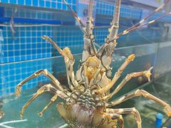 -南海渔家•海鲜•正宗海南菜(海棠湾店)