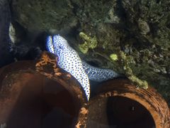泉城极地海洋世界-泉城欧乐堡海洋极地世界