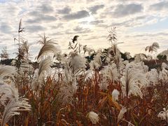 -苏州太湖国际高尔夫俱乐部