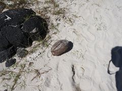 -蓝湾海滩