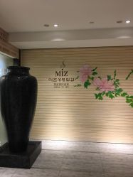 -MIVI半永久纹眉机器野生眉纹唇