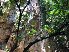 -武吉知马自然保护区