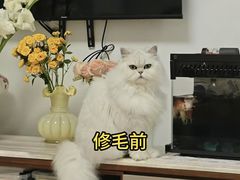 -猫苑生活馆