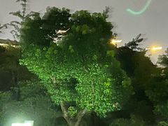 -儒之堂足道·SPA·推拿(莫干山路店)