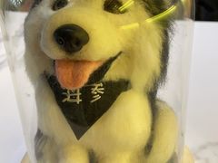 -Husky Go! 哈士奇体验馆·宠物咖啡厅狗咖