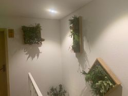 点击看大图 -薇薇安花系SPA