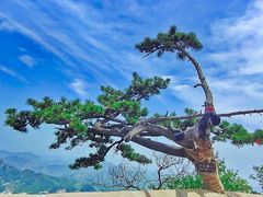 -天津盘山风景名胜区