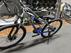 -道路口单车爱瓦士dahon大行