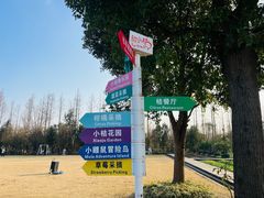 -前小桔亲子创意农场·草莓采摘·露营烧烤