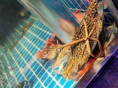 -曼格活海鲜·牛排自助(光明蓝鲸店)