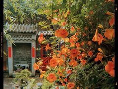 -老张烤羊(王哥庄店)