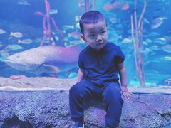 -沈阳海洋探索中心