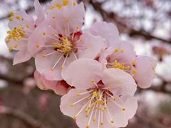 -鹫峰国家森林公园