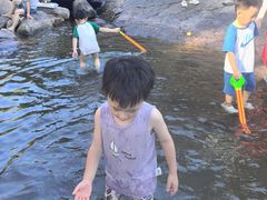 -崂山水果园农家宴(泉水鸡店)