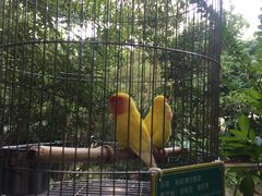-东部华侨城