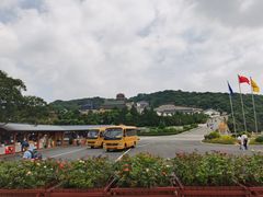 -普陀山风景区-佛顶山