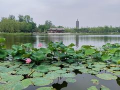 -西海子公园