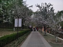 -海棠花溪(元大都城垣遗址公园)