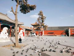 -大召无量寺