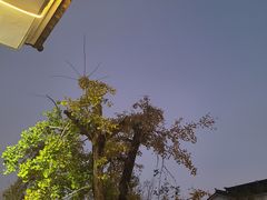 -太湖好灶头土菜馆(石公路店)