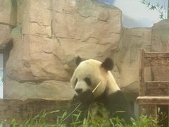 -无锡动物园·太湖欢乐园