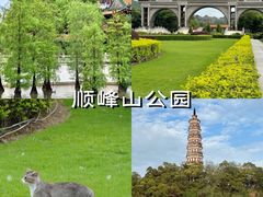-凤城·食都