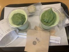 -雪绿茶博物馆