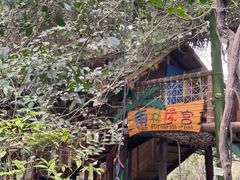-呀路古热带植物园