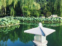 -西安华清御汤酒店