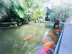 -漫笙舍Manse·咖啡·民宿