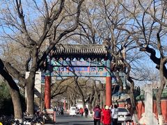-北京国子监胡同