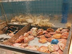 -伍棵煋炭烤自助料理·烤鳗鱼(浦东食品城店)