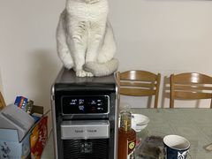 -宠颐生动物医院·小陆分院