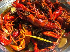 -大孩龙虾(体育场旗舰店)