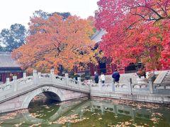 -香山公园