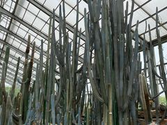 -南通洲际绿博园