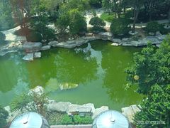-青岛鑫江温德姆酒店
