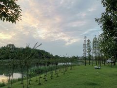 -两河城市森林公园