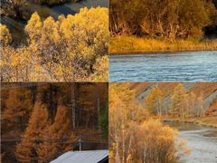 -莫尔道嘎国家森林公园