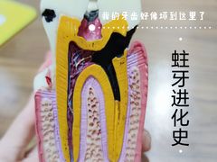 -极光口腔·矫正种植修复(锦江店)