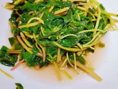 山野马齿苋-范家小馆·烤鸭新京菜(金融街店)