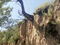 -中华三祖圣地黄帝城遗址文化旅游区