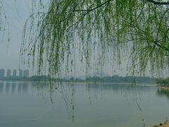 -松山湖梦幻百花洲